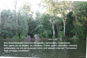 IMG_5638.JPG