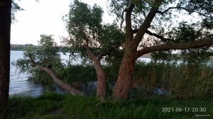 P10617-203053[1].jpg