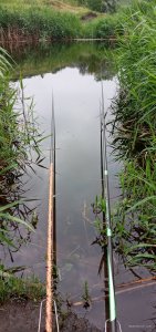 20210628_053436.jpg