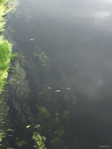 IMG_2304.JPG