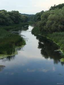 IMG_2305.JPG