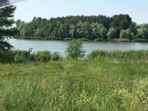 IMG_2285.JPG