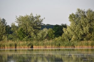 DSC_0208.JPG