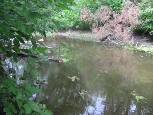 IMG_5737.JPG
