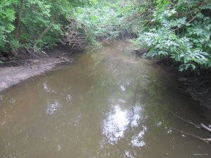 IMG_5740.JPG