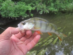 IMG_5747.JPG