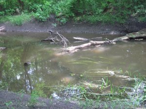 IMG_5757.JPG
