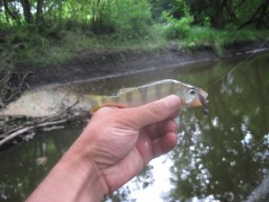 IMG_5760.JPG