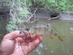 IMG_5764.JPG