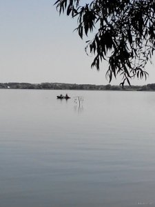 IMG_20210714_101910.jpg