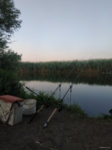 IMG_20210718_194758.jpg