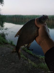 IMG_20210718_201021.jpg