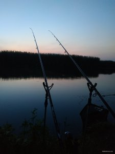 IMG_20210719_040734.jpg