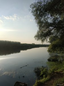 IMG_20210719_060856.jpg