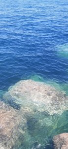 20210718_140354.jpg