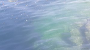 20210718_101540.jpg