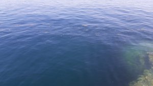 20210718_101521.jpg