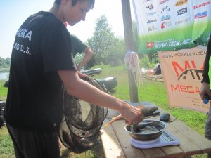 IMG_5861.JPG