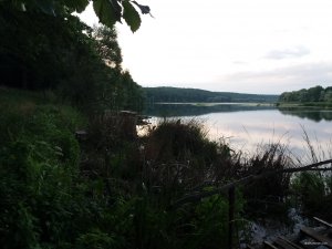 20210721_194707.jpg