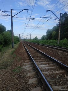 IMG_20210722_185302.jpg