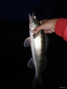 IMG_20210722_210031.jpg