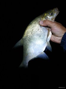 IMG_20210723_003520.jpg