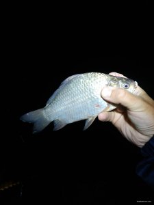 IMG_20210722_234848.jpg