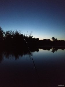 IMG_20210723_035306.jpg