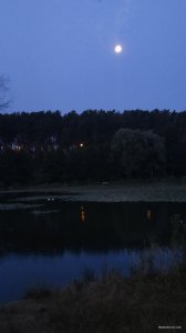IMG_20210726_042708.jpg