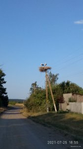 P10725-185520[1].jpg