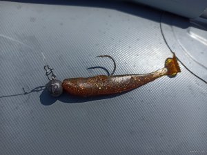 IMG_20210702_105015.jpg