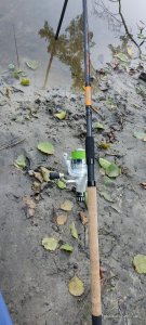 IMG_20210731_064023.jpg