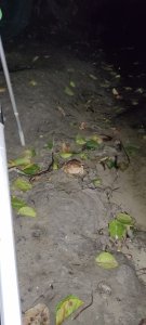 IMG_20210731_000941.jpg