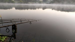 IMG_20210731_051614.jpg
