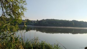 IMG_20210801_061746.jpg