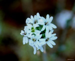 IMG_5764.JPG