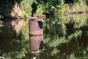 DSC_0591.JPG
