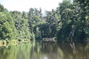 DSC_0606.JPG