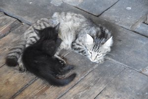 DSC_0616.JPG