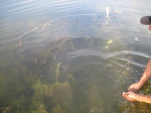 IMG_5912.JPG