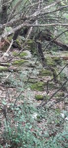 20210808_174713.jpg