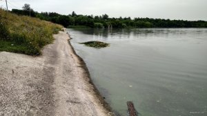 IMG_20210810_112630.jpg