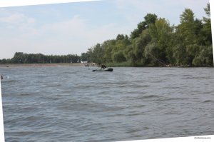 IMG_5803.JPG