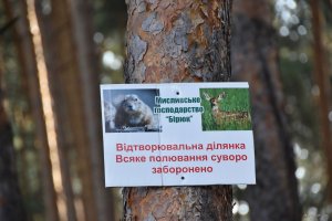 DSC_0220.JPG