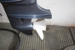 IMG_6164.JPG