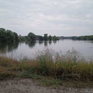 IMG_20210819_193941_965.jpg