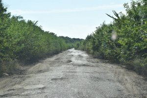 DSC_0402.JPG