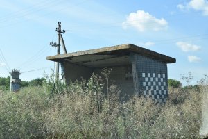 DSC_0403.JPG