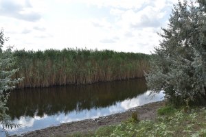 DSC_0413.JPG