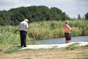 DSC_0442.JPG
